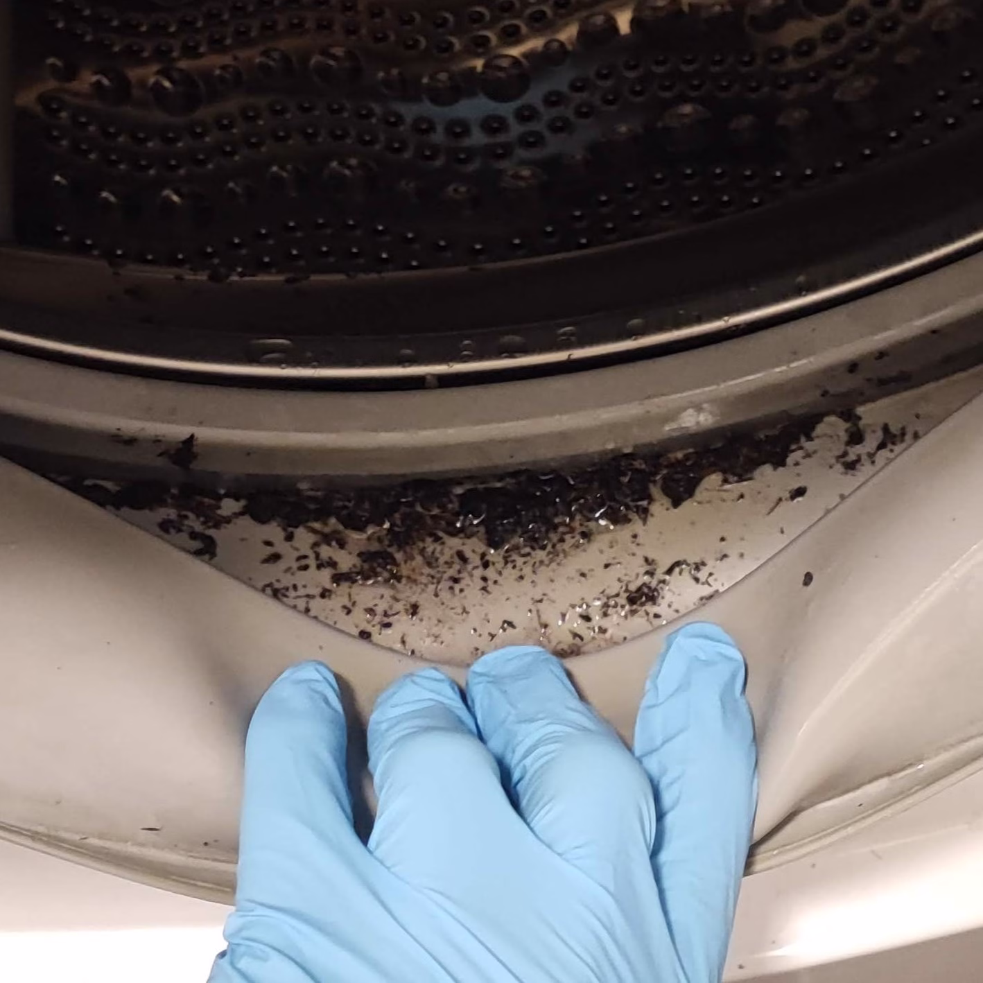 Home How to Remove Washing Machine Mold for Good