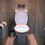 Clean The Black Ring in The Toilet | Quick And Easy