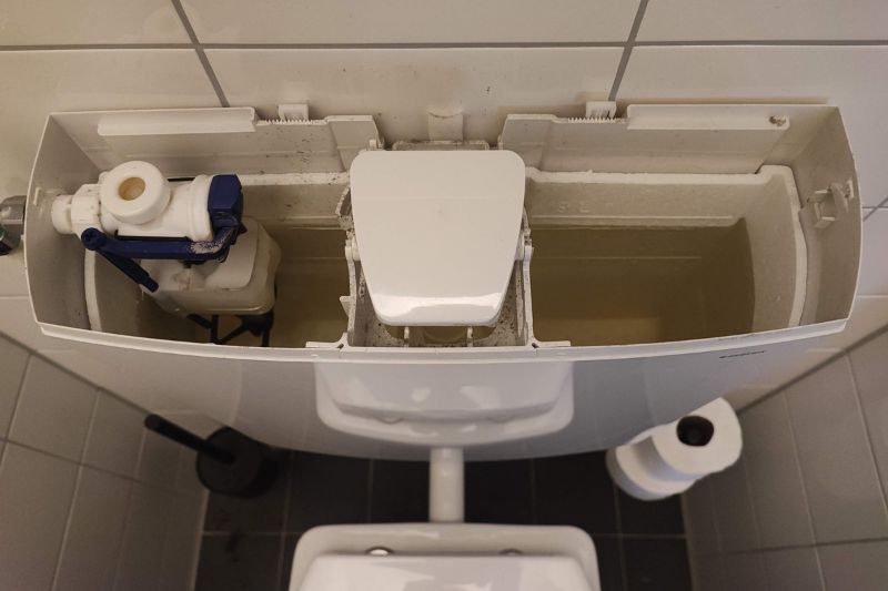 How to Clean a Toilet Tank (Step-by-Step Guide) Inside a toilet tank showing the flapper, fill valve, overflow tube, and float mechanism